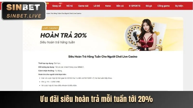 Chương trình VIP Bắn Cá ball8 win
